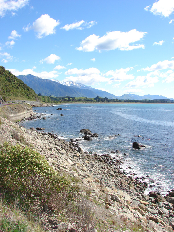 237kaikoura