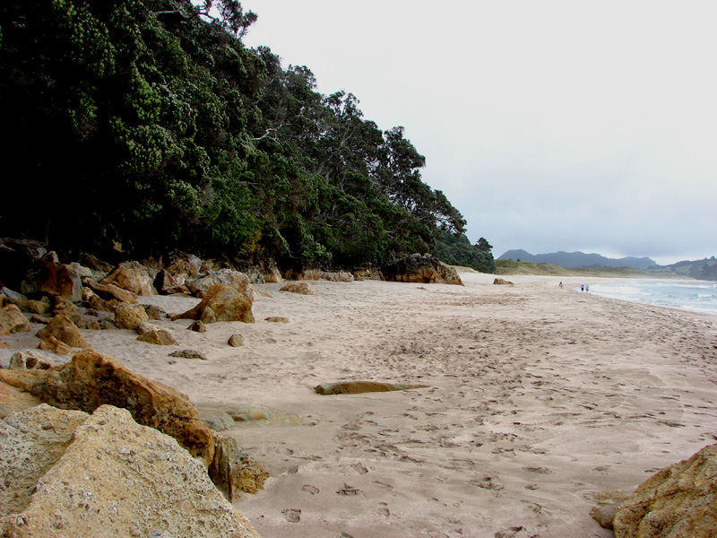 315_beach