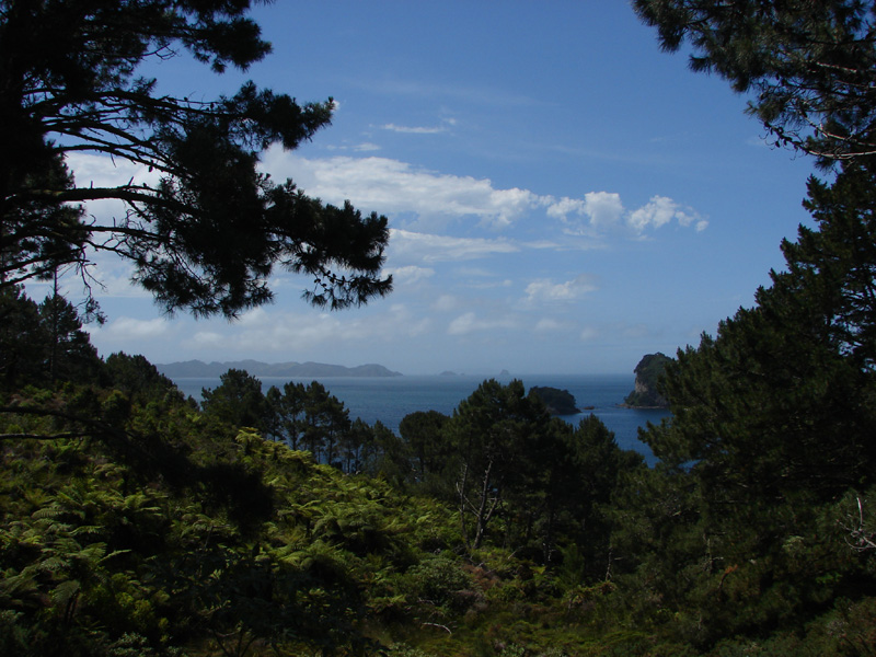 337cathedral_cove