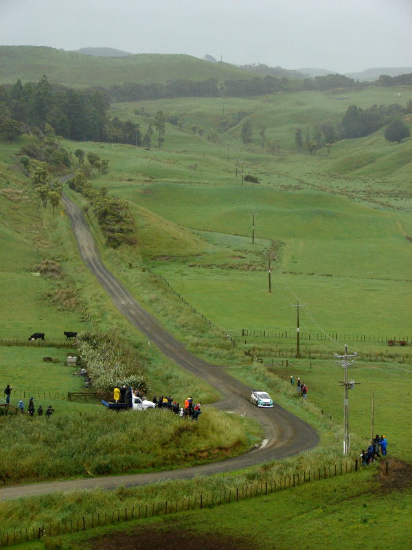 376rallynz