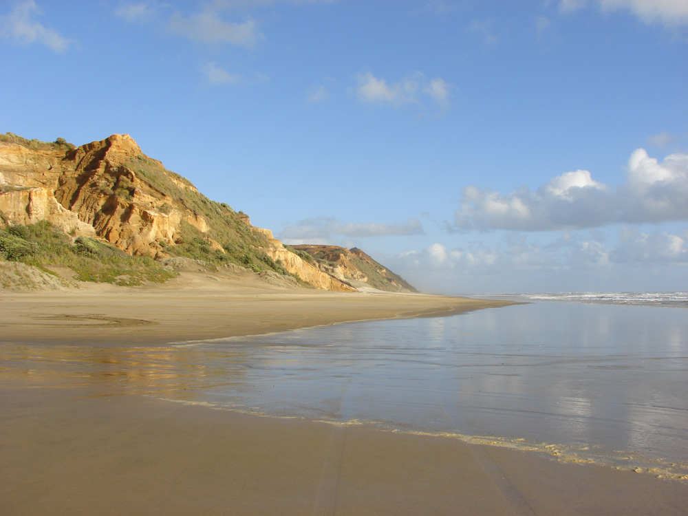 391_beach