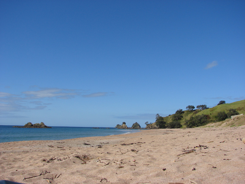 420farnorth_beach