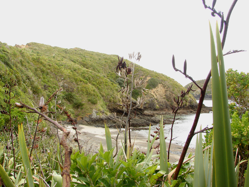 444island