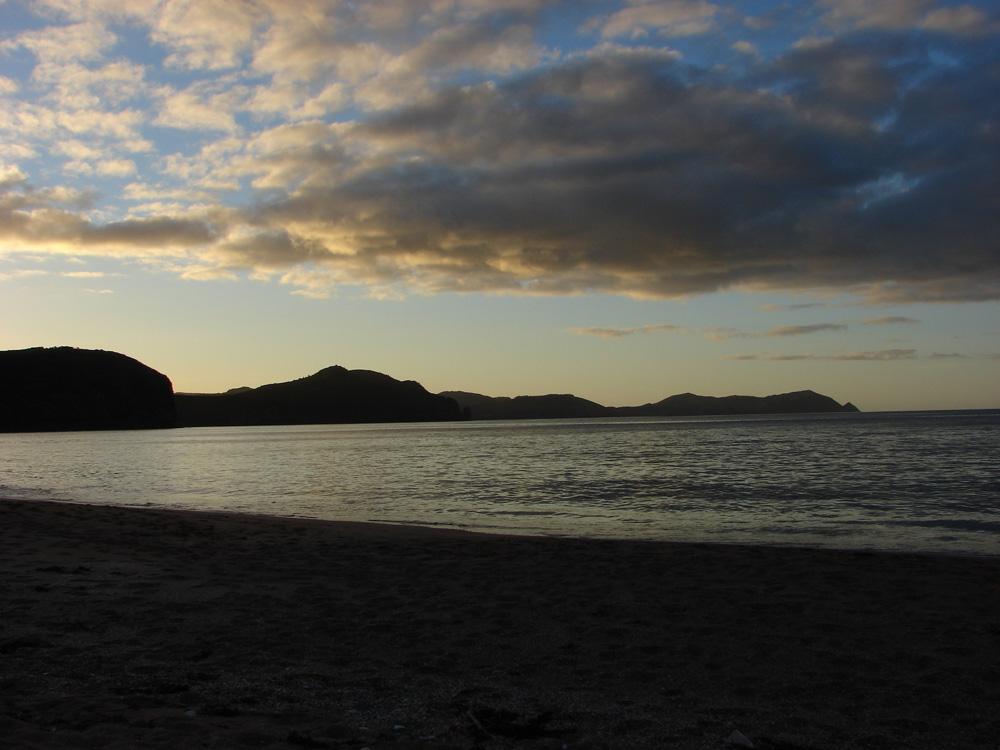 469_evening