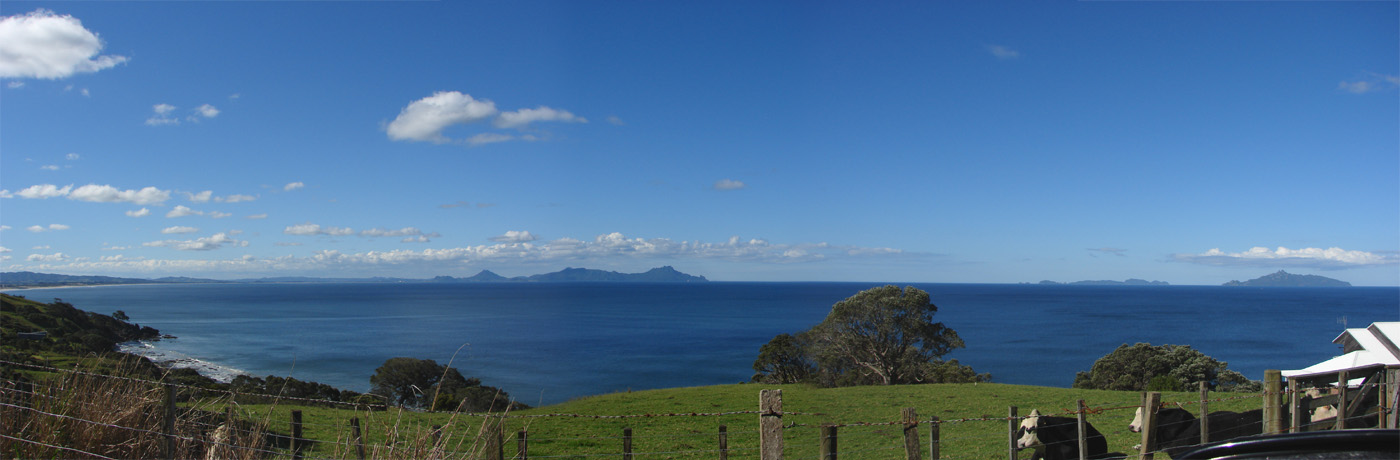 487panorama2