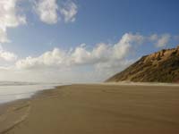 394dargaville